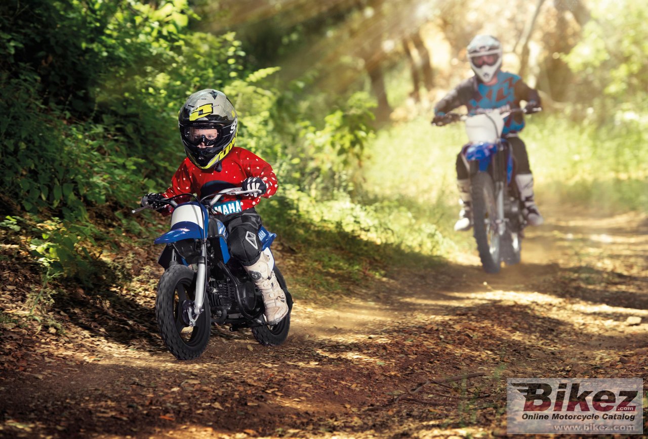 Thumbnail for Yamaha PW50 2017