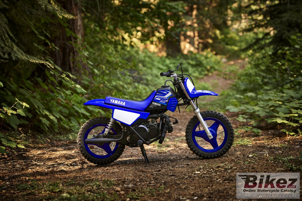Thumbnail for Yamaha PW50 2020
