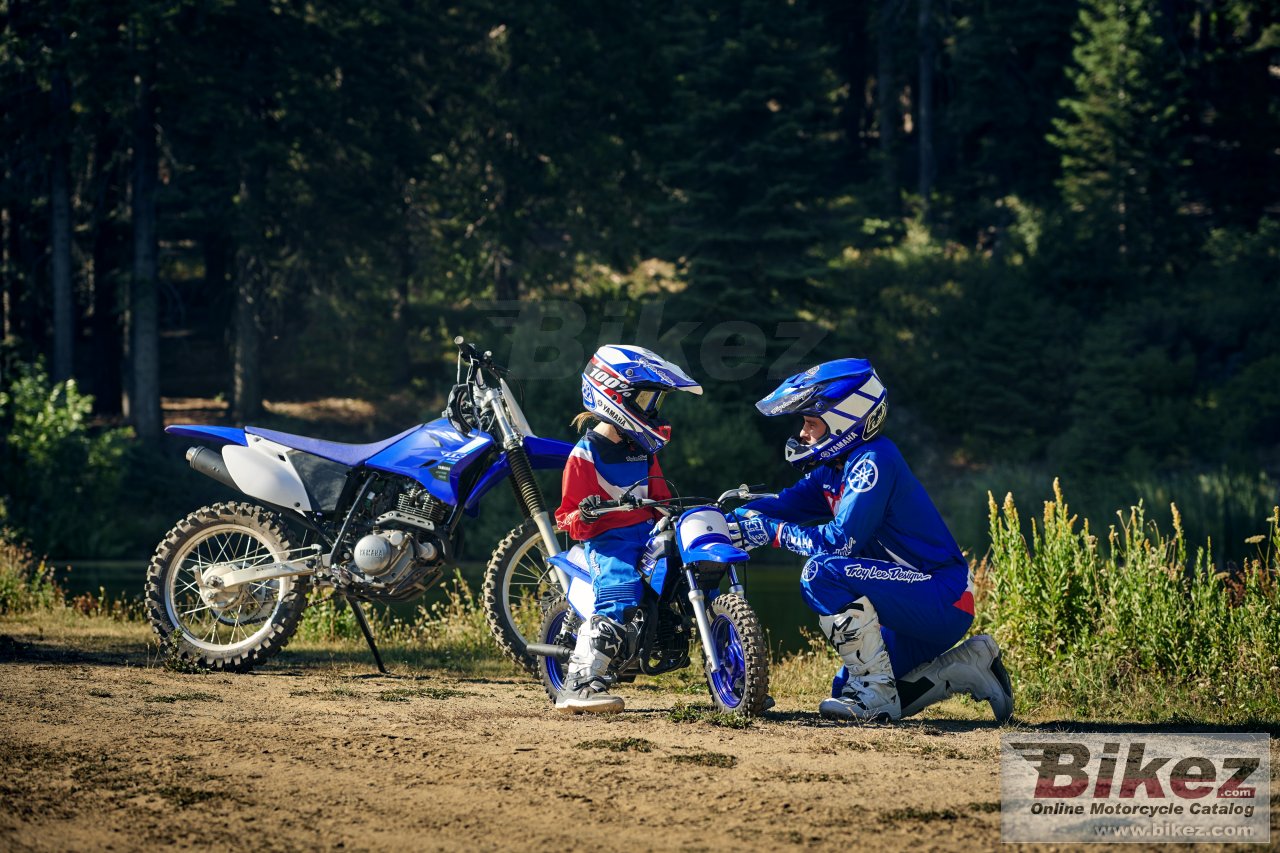 Thumbnail for Yamaha PW50 2020