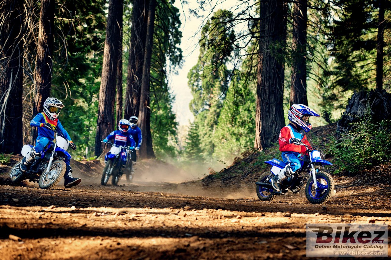 Thumbnail for Yamaha PW50 2021