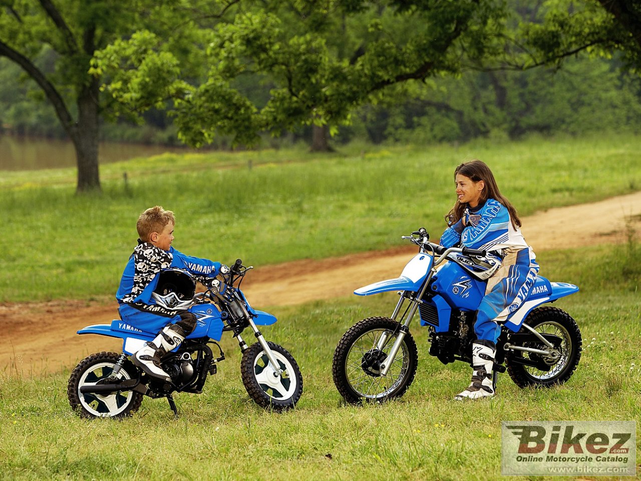 Thumbnail for Yamaha PW80 2012