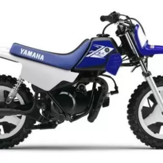 Thumbnail for Yamaha PW 50 2002