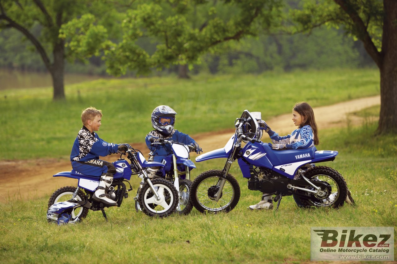 Thumbnail for Yamaha PW 80 2006