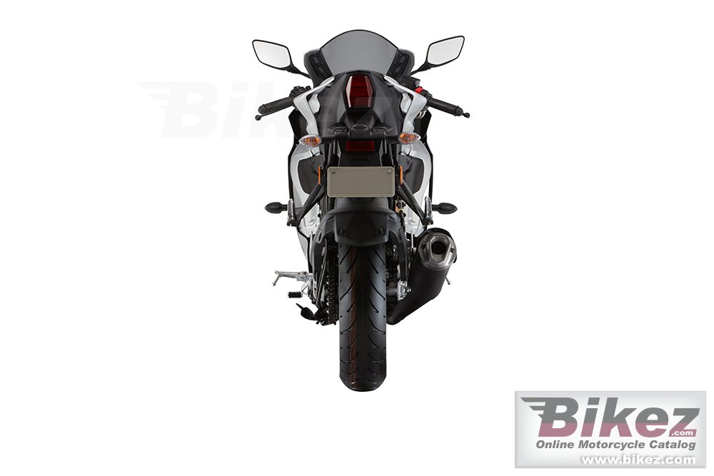 Thumbnail for Yamaha R15M 2022