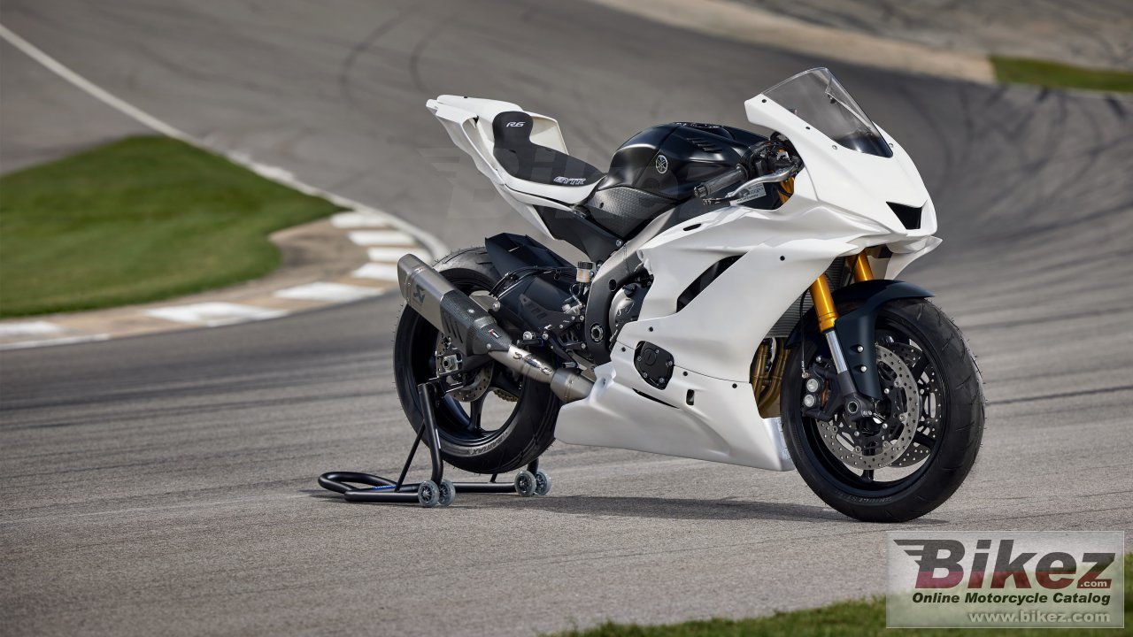 Thumbnail for Yamaha R6 Race 2022