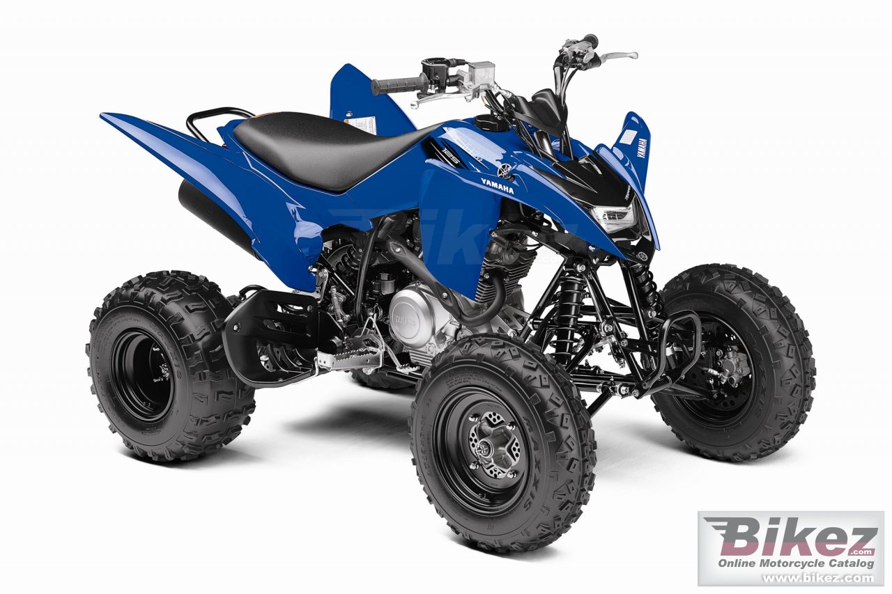 Yamaha Raptor 125
