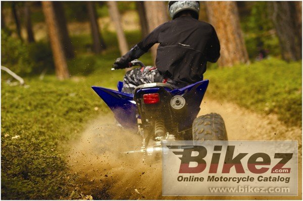 Thumbnail for Yamaha Raptor 250 2009