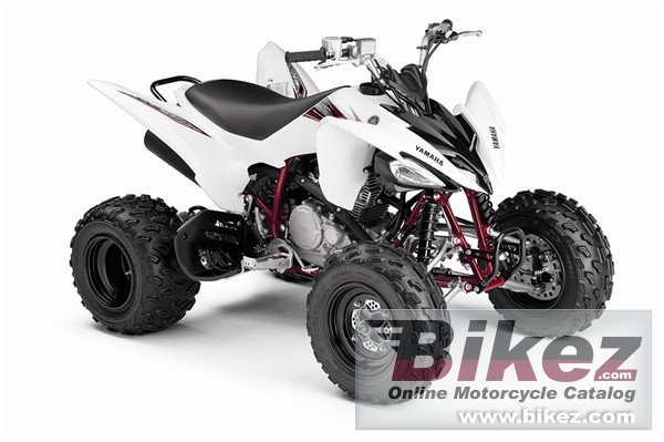Yamaha Raptor 250