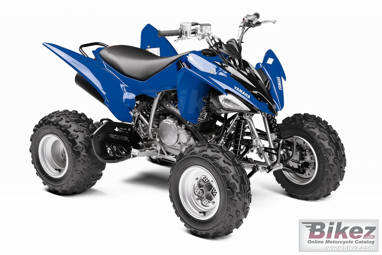 Yamaha Raptor 250