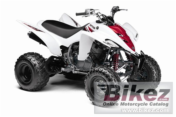 Yamaha Raptor 350