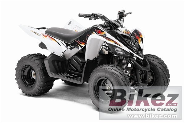 Yamaha Raptor 90