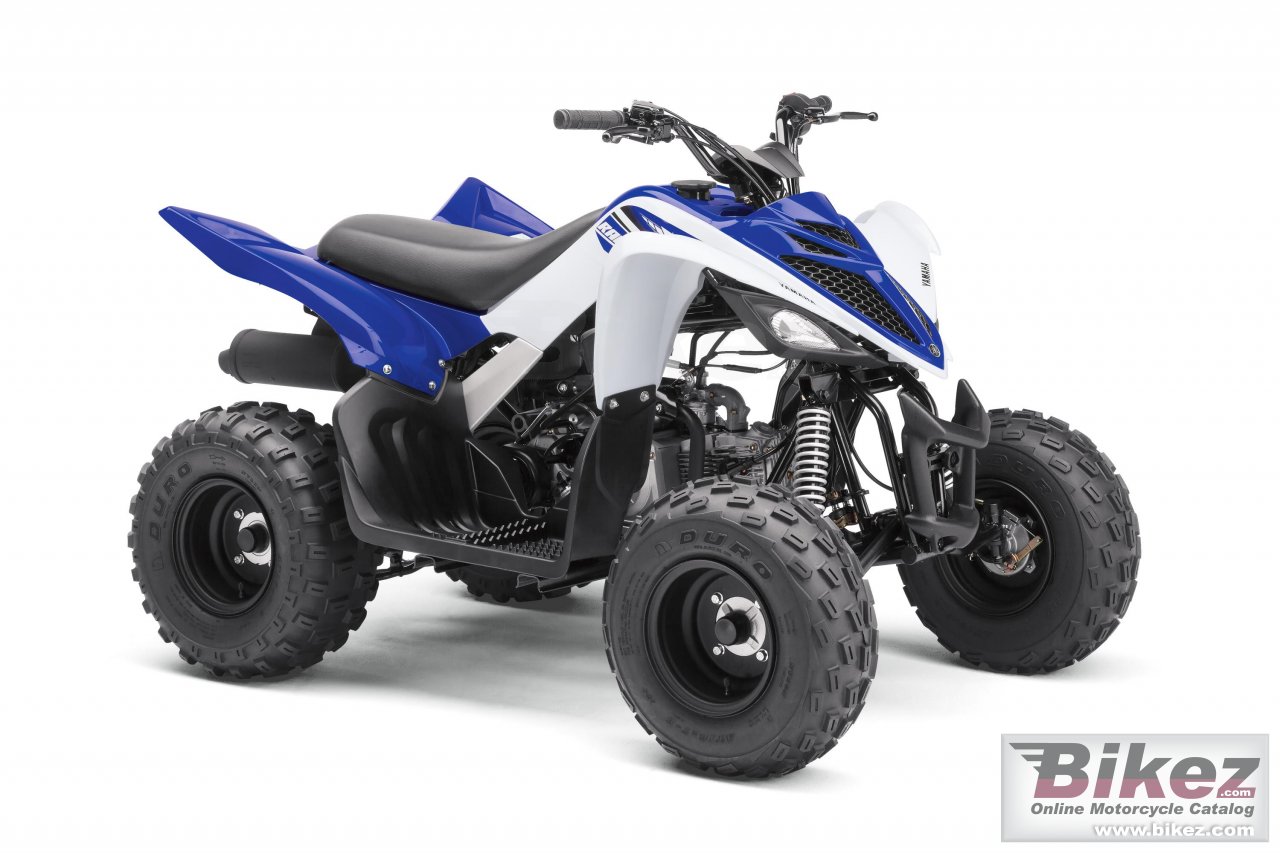 Yamaha Raptor 90
