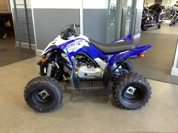 Thumbnail for Yamaha Raptor 90 2020