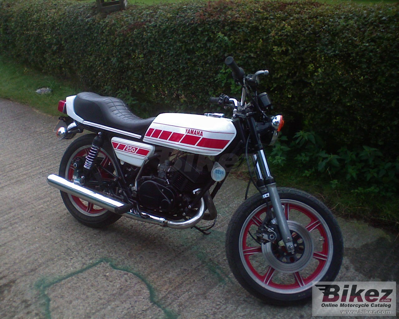 Yamaha RD 250