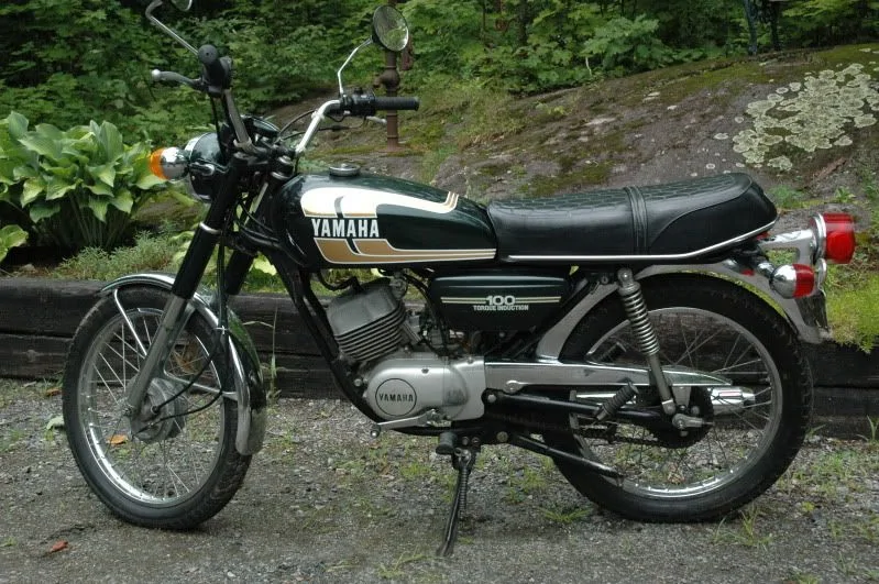 Thumbnail for Yamaha RS 100 DX 1976