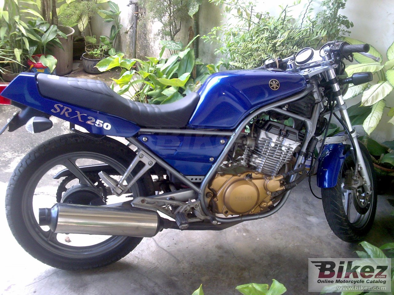 Yamaha SRX 250