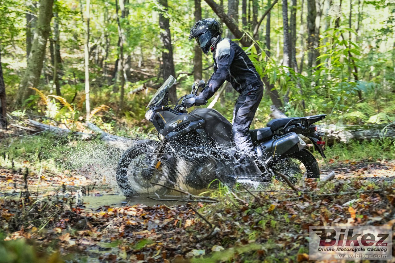 Thumbnail for Yamaha Super Tenere ES 2023
