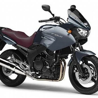 Thumbnail for Yamaha TDM 900 2002
