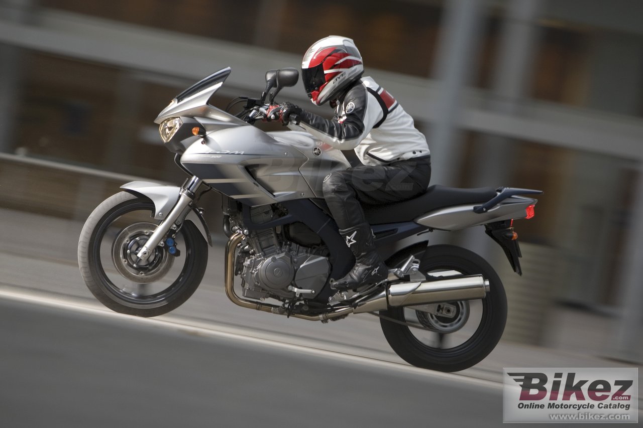 Thumbnail for Yamaha TDM 900 2008