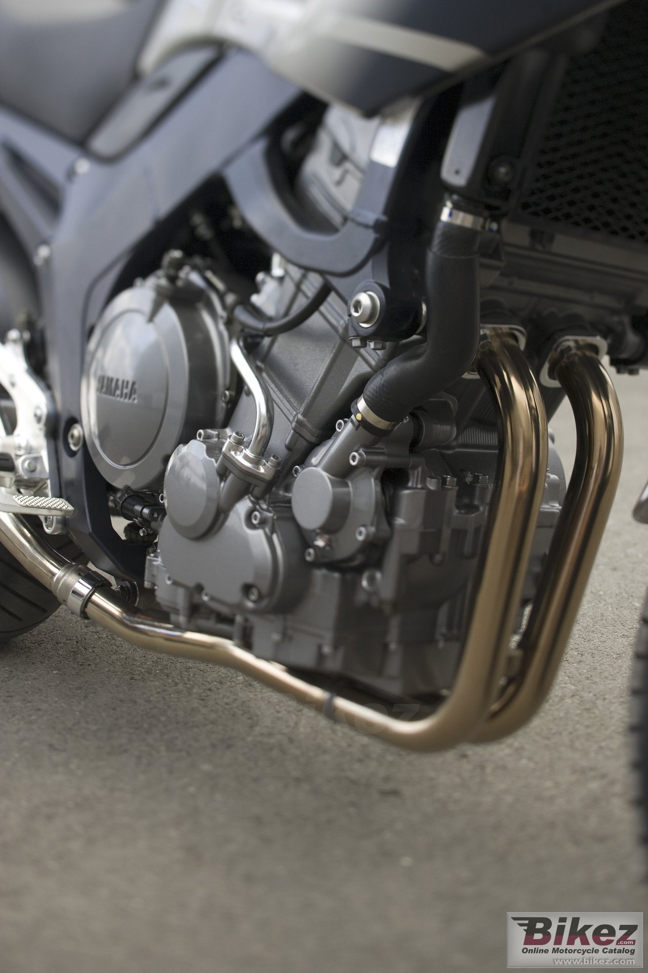 Thumbnail for Yamaha TDM 900 2008