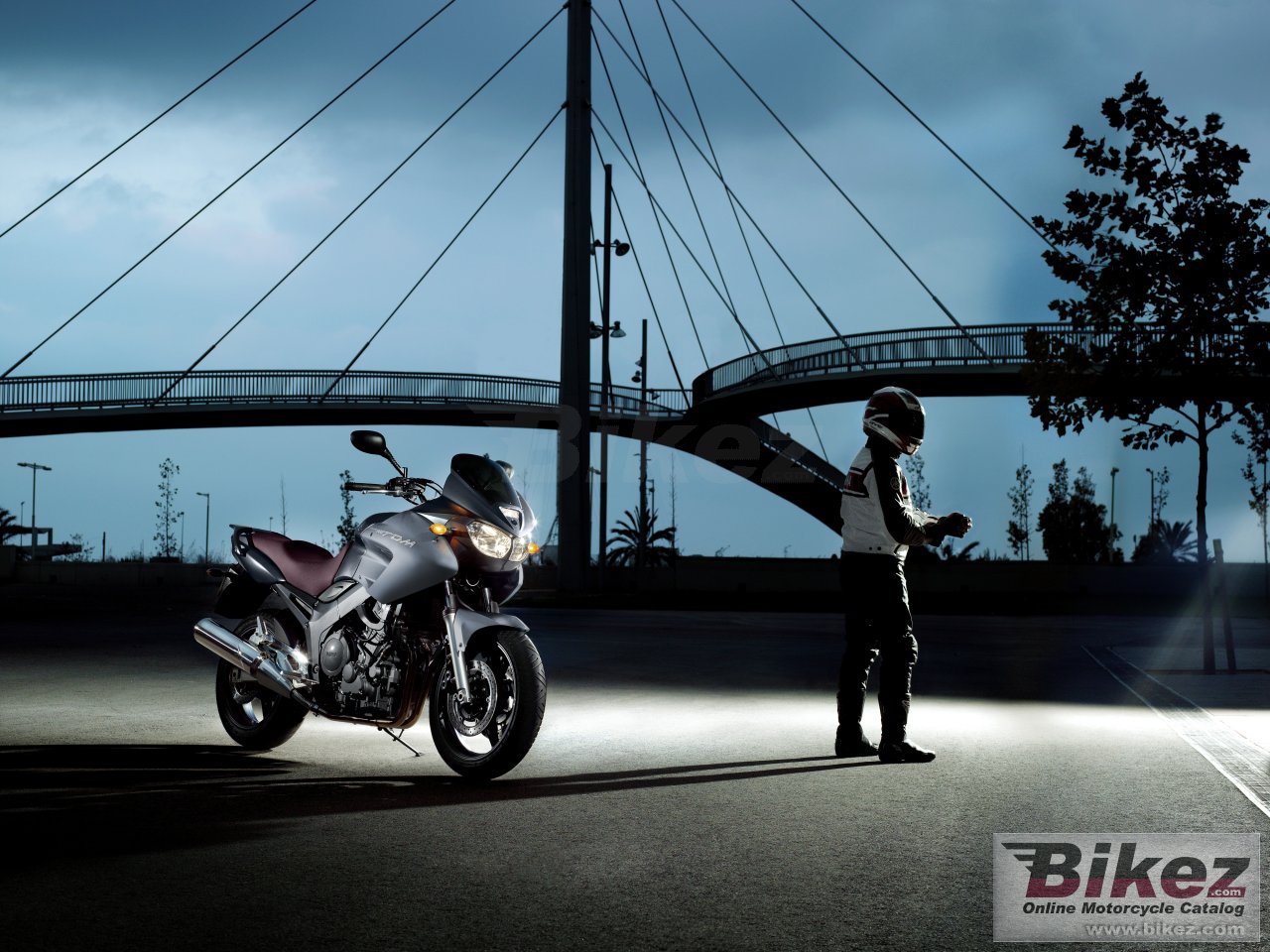 Thumbnail for Yamaha TDM 900 2011