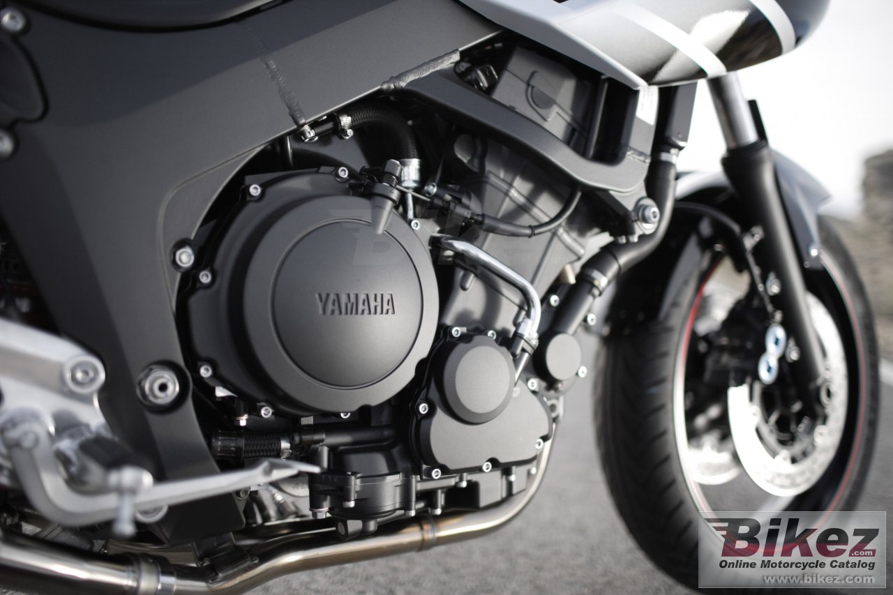 Thumbnail for Yamaha TDM 900 - A 2007