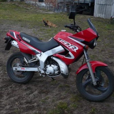Thumbnail for Yamaha TDR 125 1997