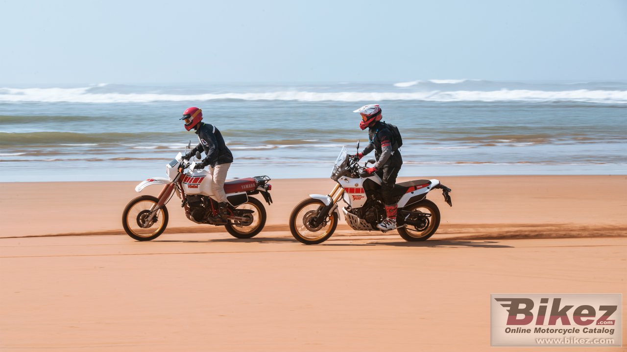 Thumbnail for Yamaha Tenere 700 Rally 2023