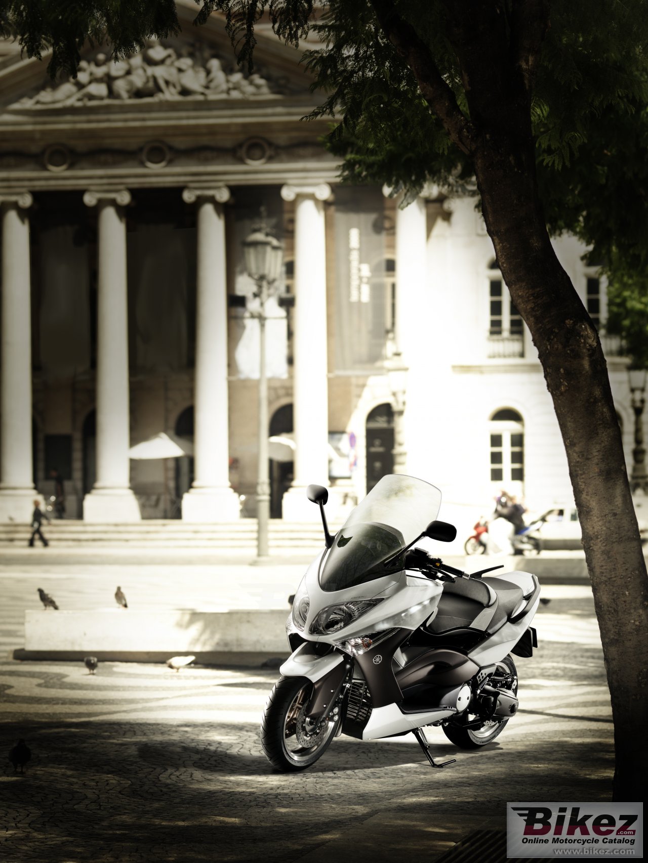 Thumbnail for Yamaha TMAX White Max 2010