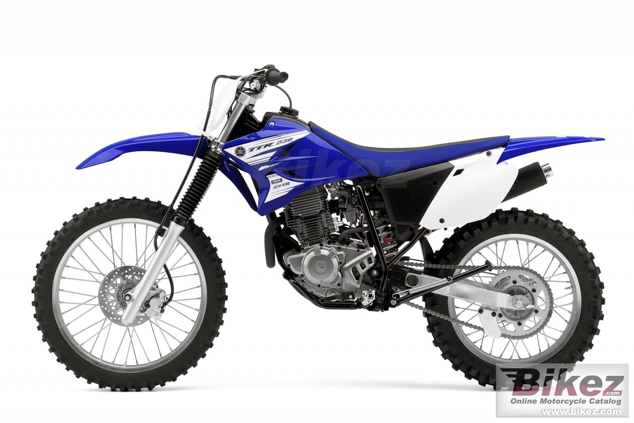 Thumbnail for Yamaha TT-R230 2016