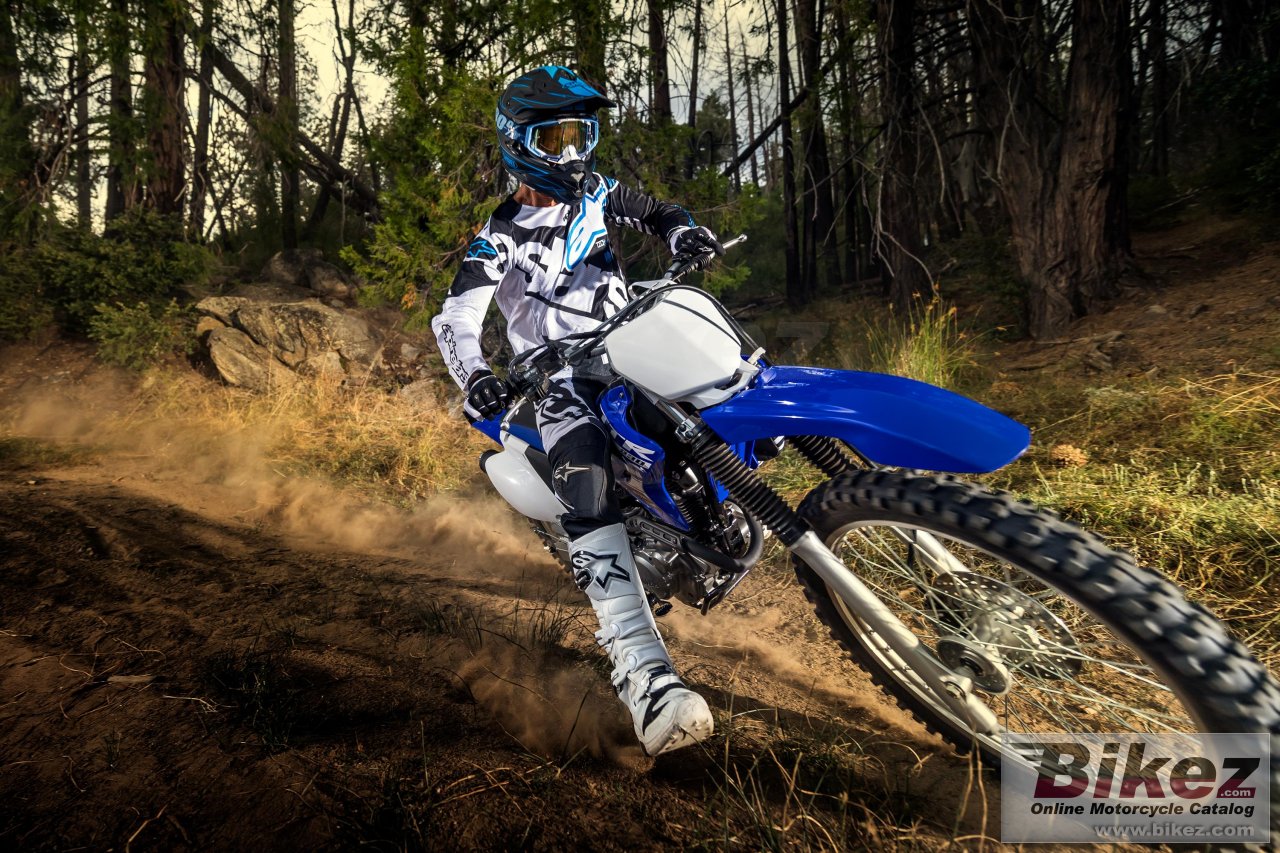 Thumbnail for Yamaha TT-R230 2018