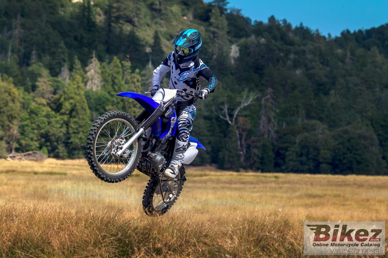 Thumbnail for Yamaha TT-R230 2018