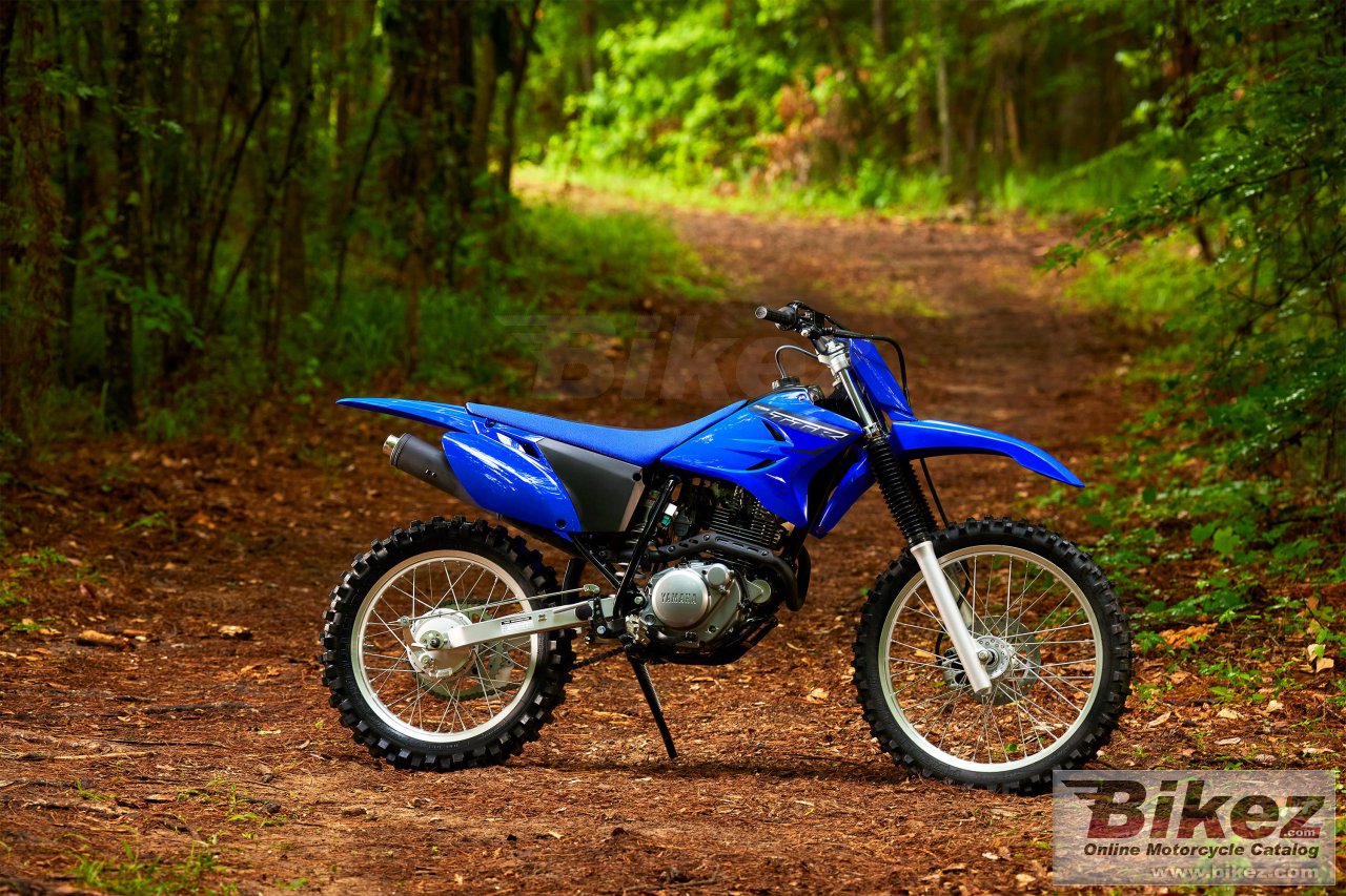 Thumbnail for Yamaha TT-R230 2023