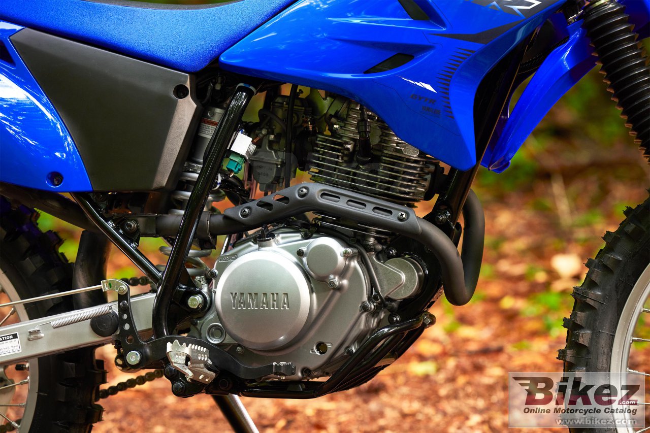 Thumbnail for Yamaha TT-R230 2023