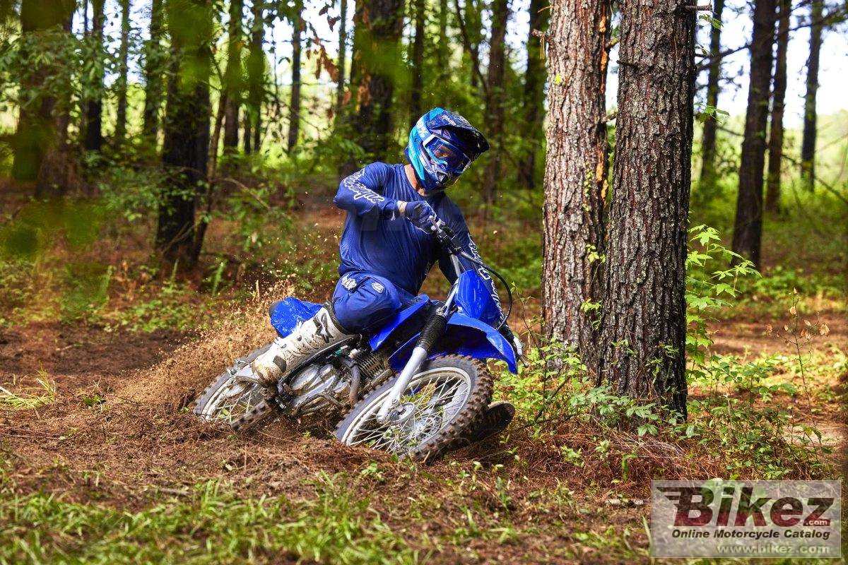 Thumbnail for Yamaha TT-R230 2024