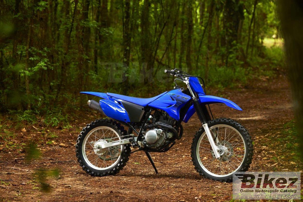 Thumbnail for Yamaha TT-R230 2024