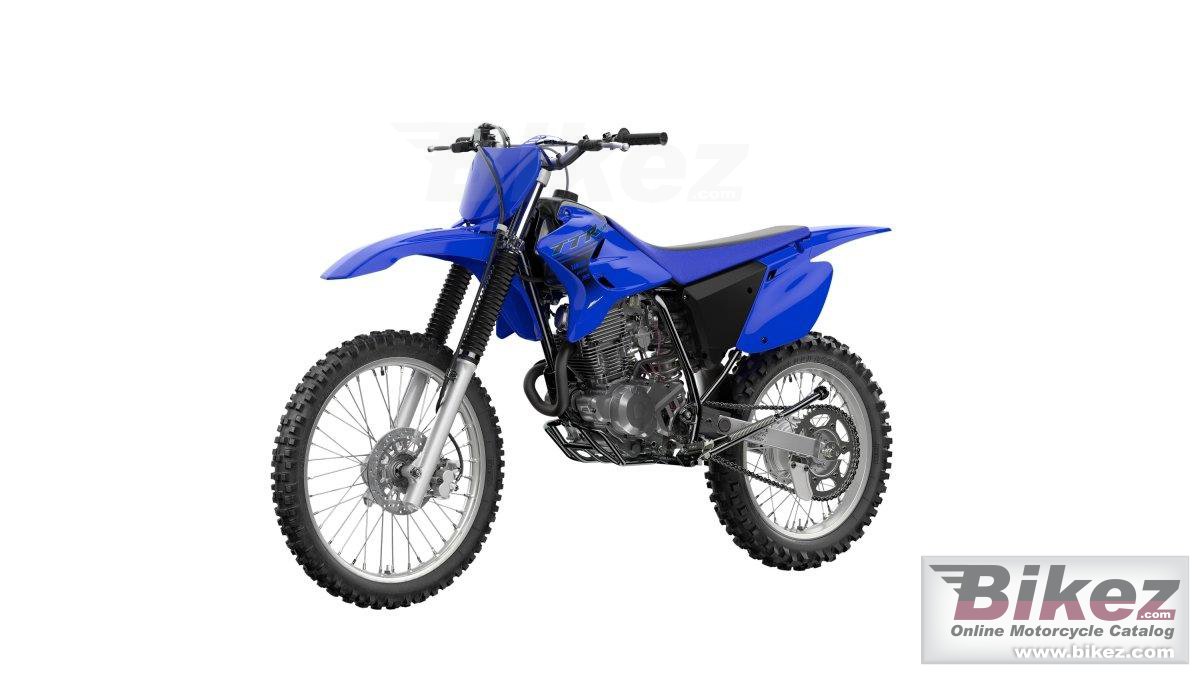 Thumbnail for Yamaha TT-R230 2024