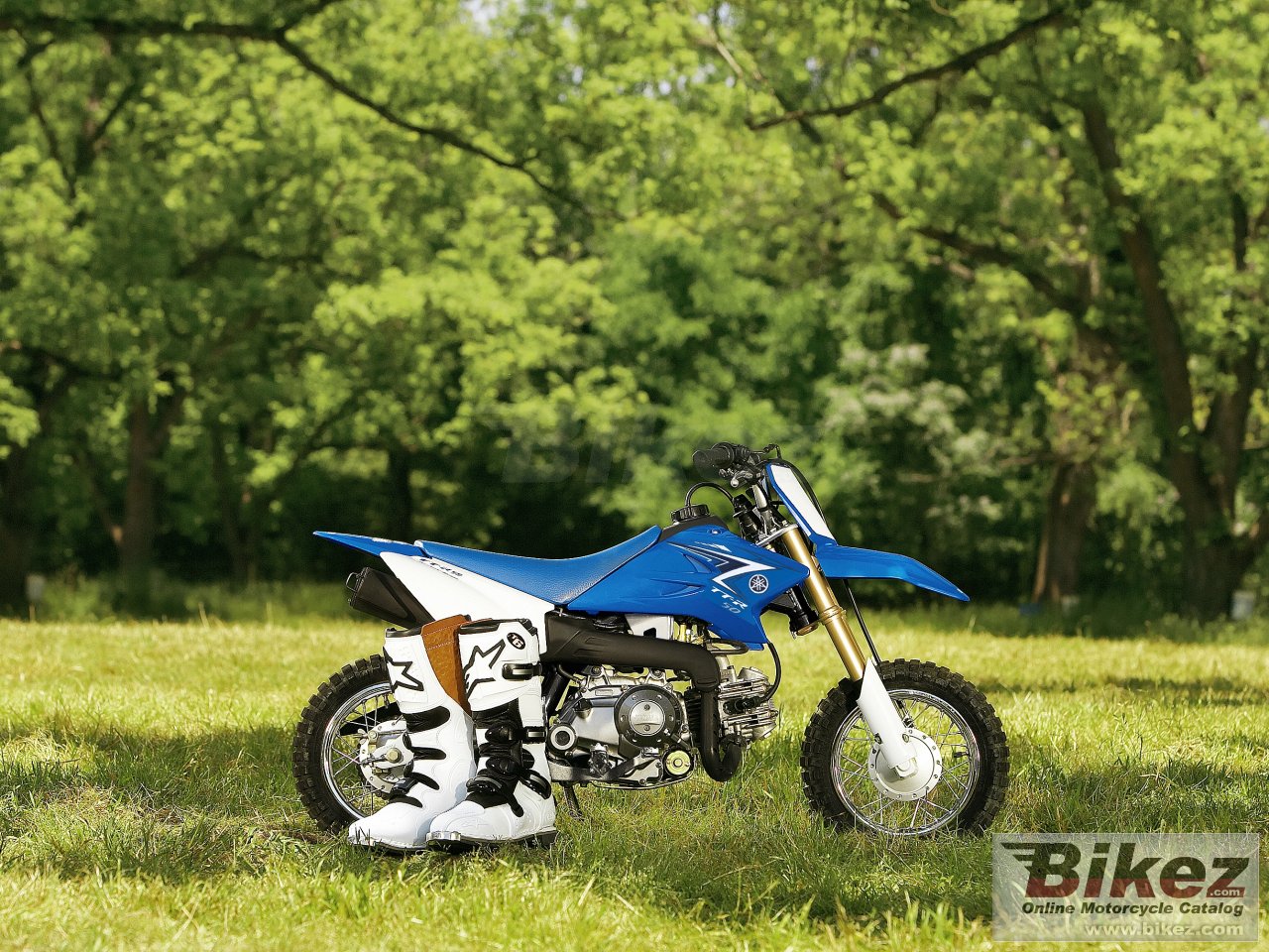 Thumbnail for Yamaha TT-R50E 2011
