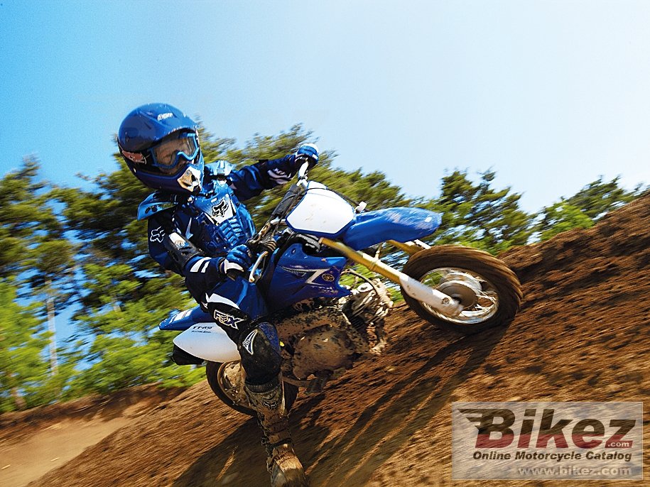 Thumbnail for Yamaha TT-R50E 2011