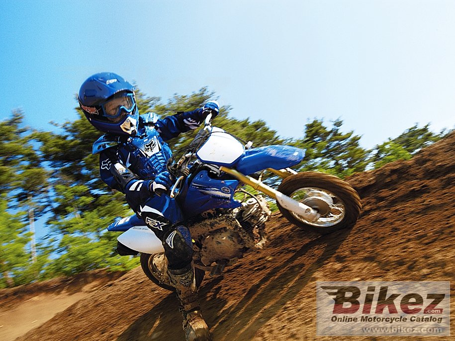 Thumbnail for Yamaha TT-R50E 2012