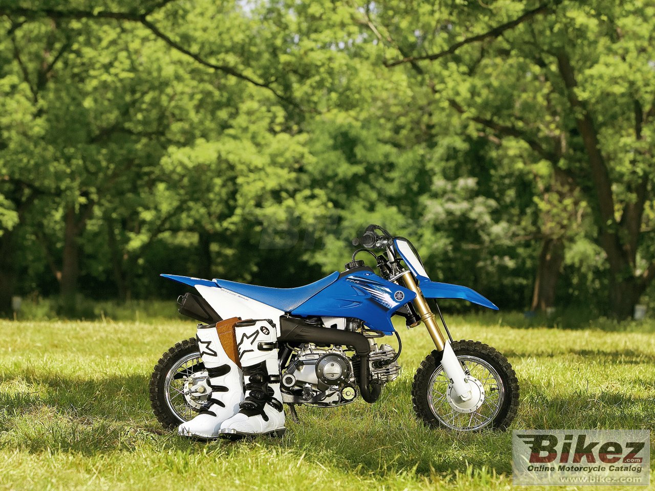 Thumbnail for Yamaha TT-R50E 2012