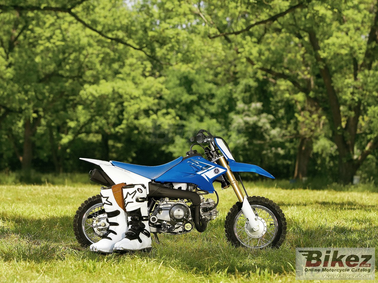 Thumbnail for Yamaha TT-R50E 2013