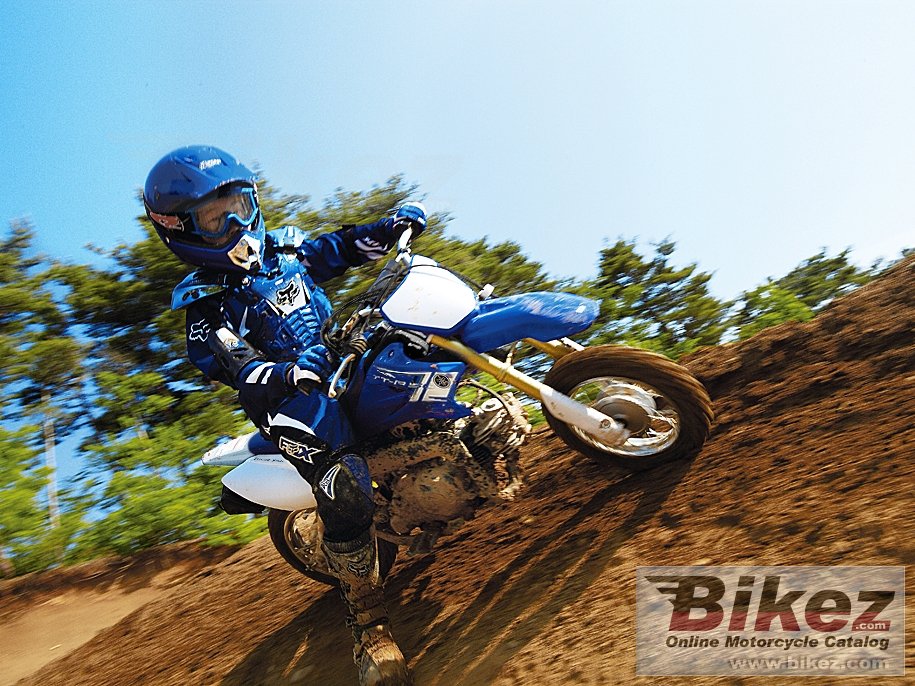 Thumbnail for Yamaha TT-R50E 2013