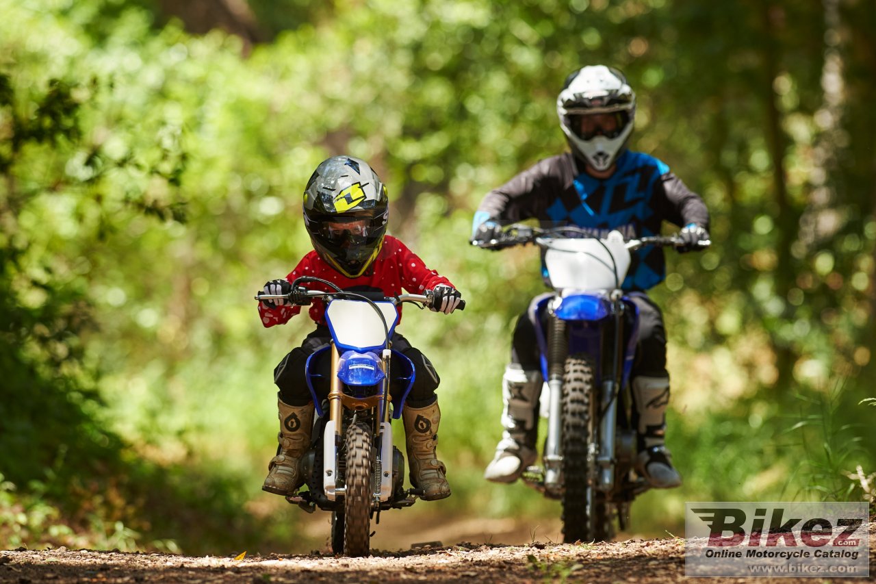 Thumbnail for Yamaha TT-R50E 2016