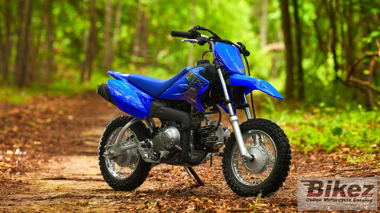 Thumbnail for Yamaha TT-R50E 2022