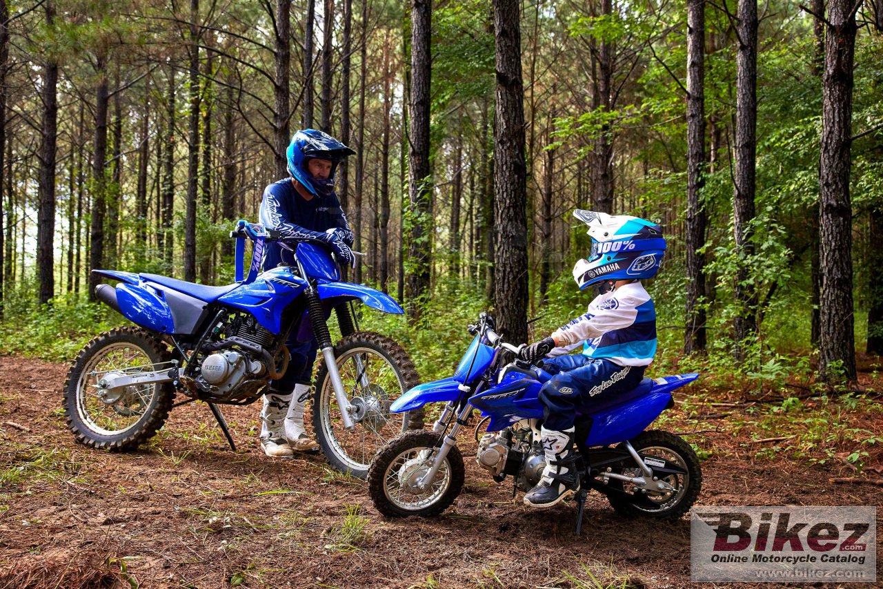 Thumbnail for Yamaha TT-R50E 2023
