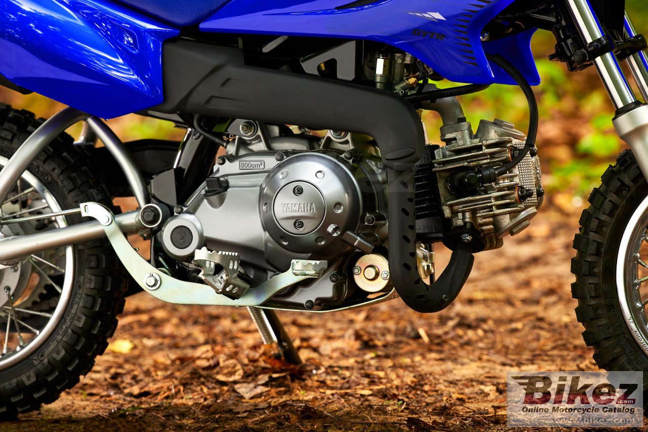 Thumbnail for Yamaha TT-R50E 2023
