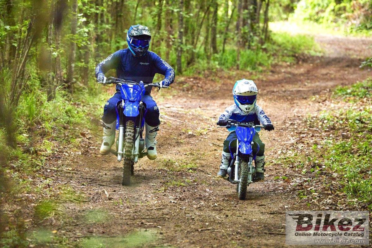 Thumbnail for Yamaha TT-R50E 2024