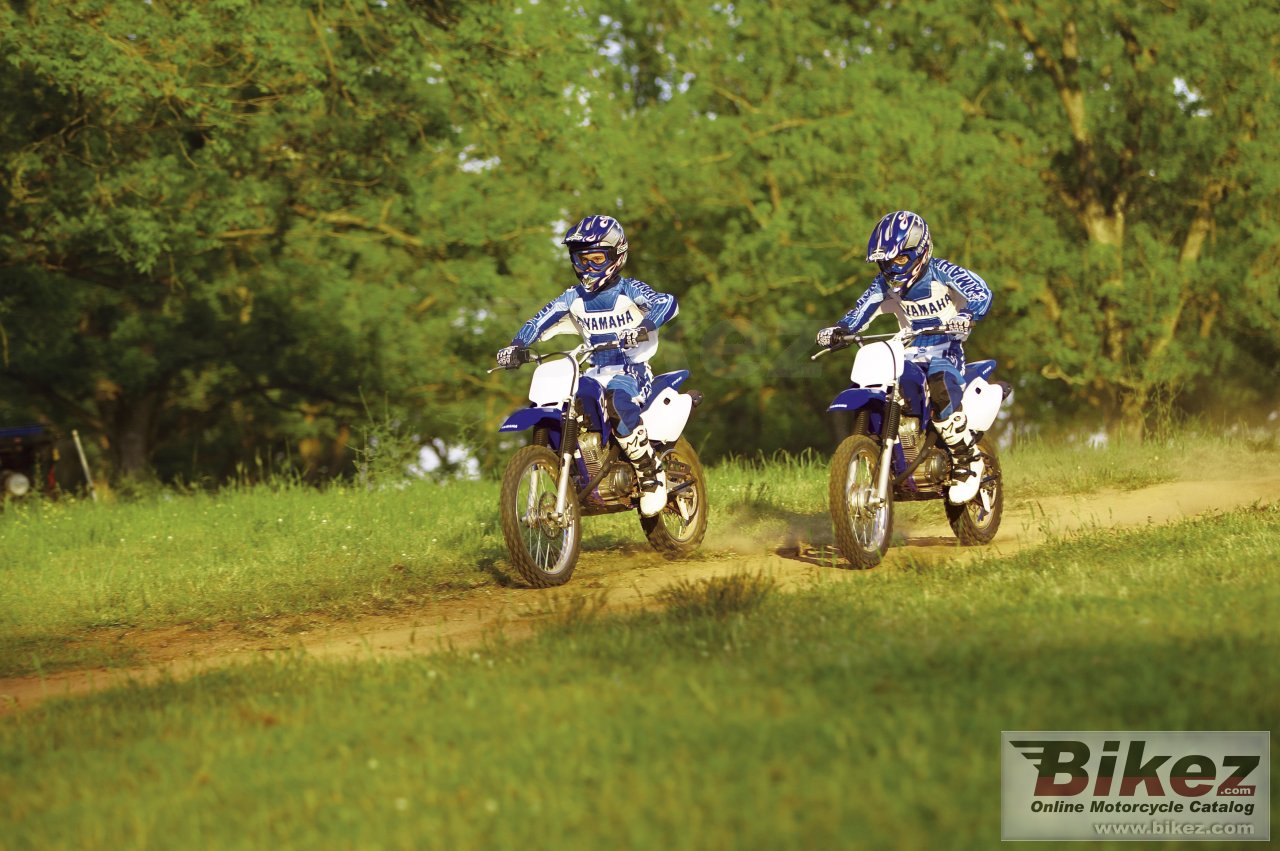 Thumbnail for Yamaha TT-R 125 E 2006
