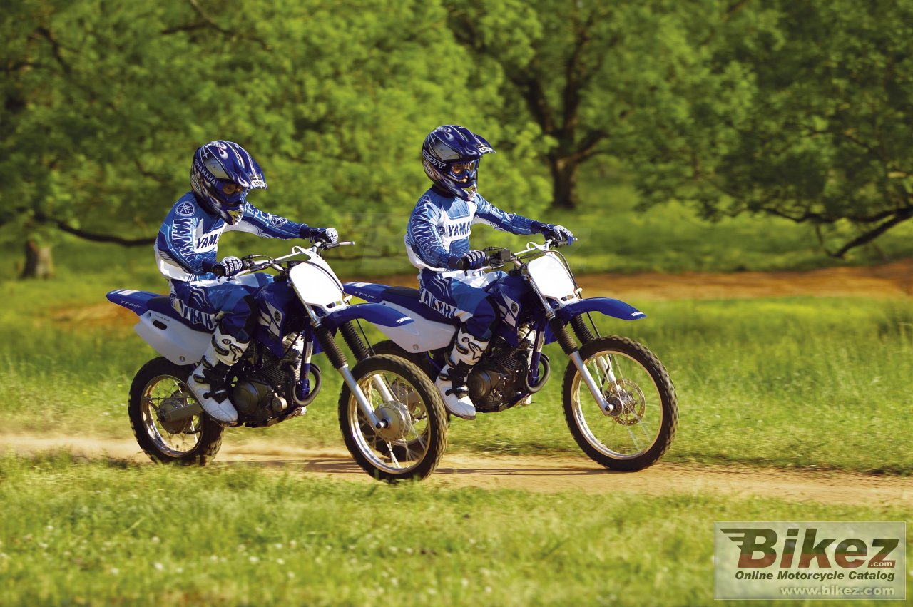 Thumbnail for Yamaha TT-R 125 E 2006